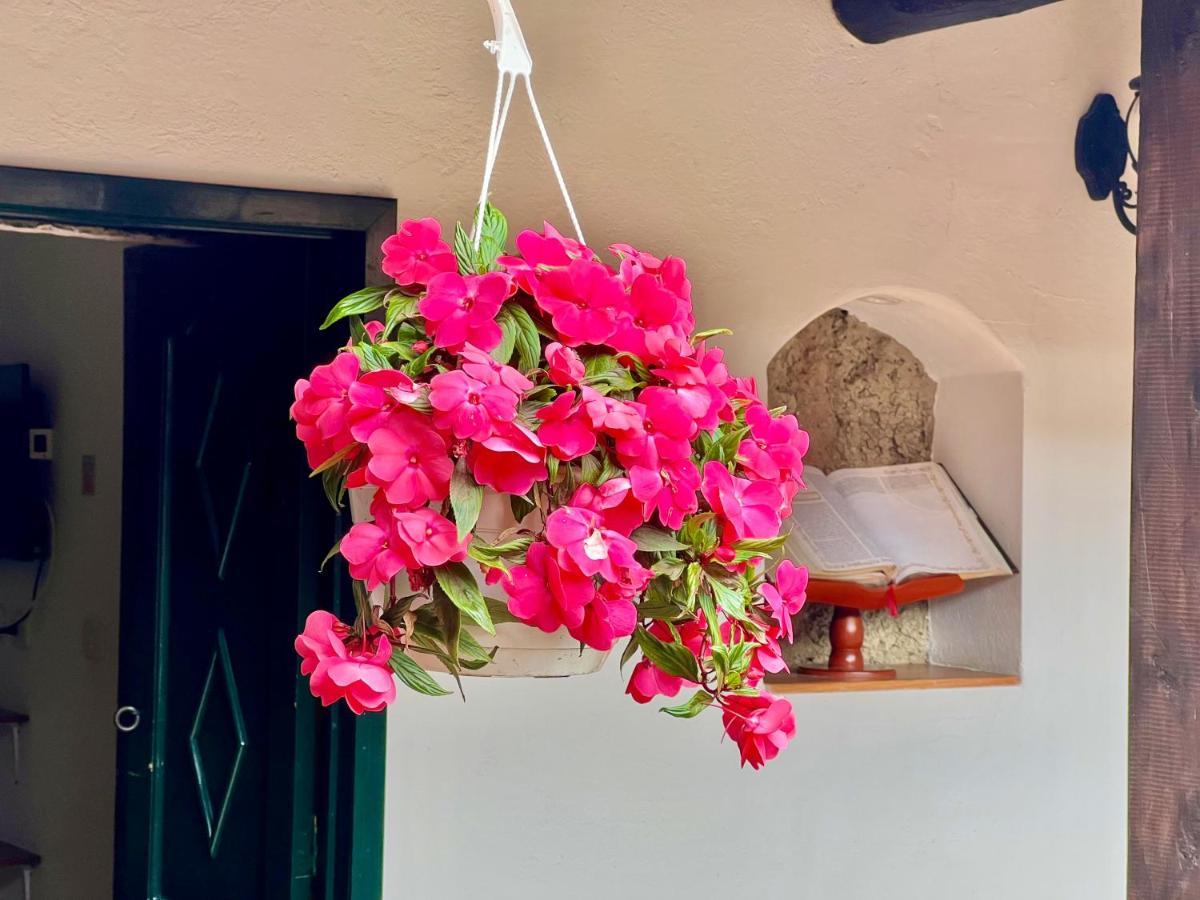Hotel San Gabriel El Cocuy Kültér fotó